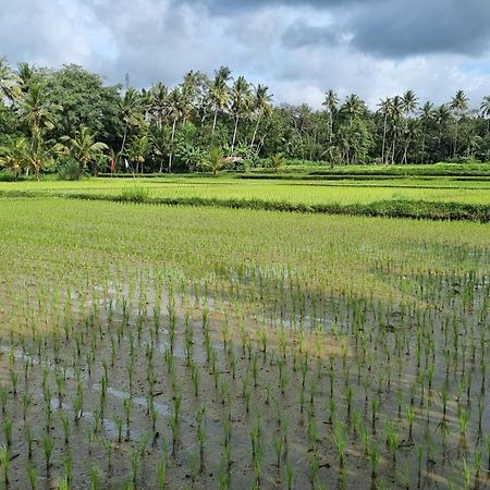 New 4 Bedroom Villa Surrounded By Jungle And Ricefields Ubud  Bagian luar foto